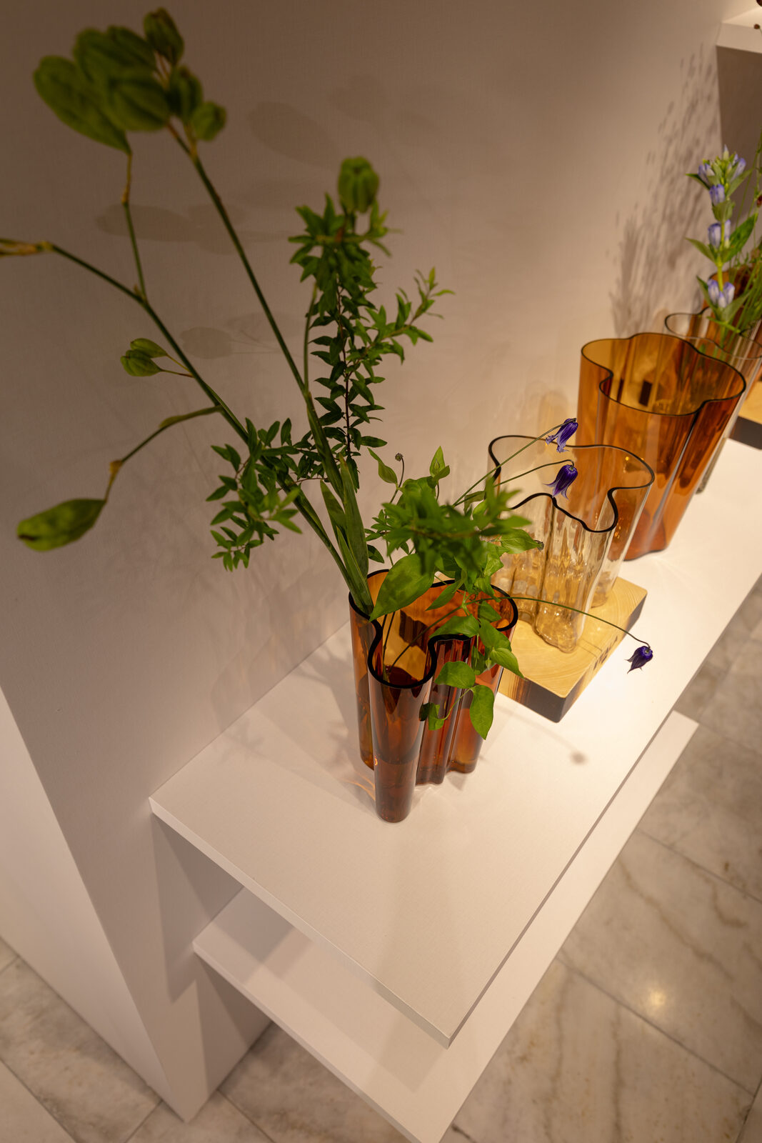 IITTALA × Yuki KAWASE — 撮影：田中紀行